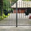 Dubbele poort