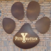 Pets Y Motion